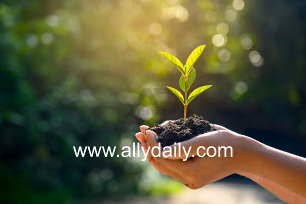 التمويل والخدمات المصرفية